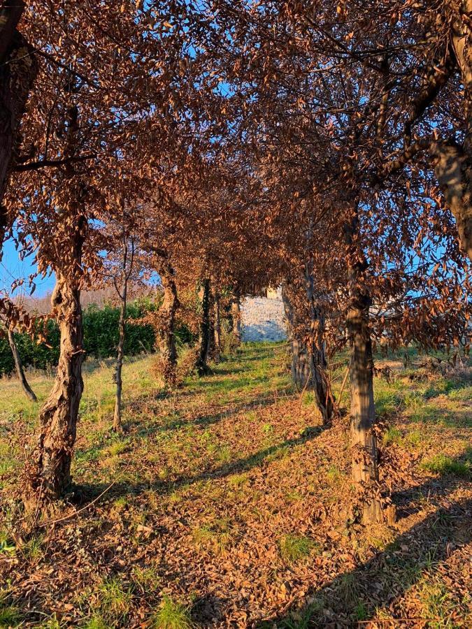 Villa dʼAlmè Le Lanterne B&B 외부 사진