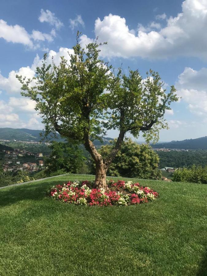 Villa dʼAlmè Le Lanterne B&B 외부 사진